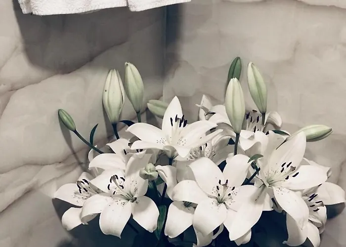 Atlantic - Free Parking Hotel